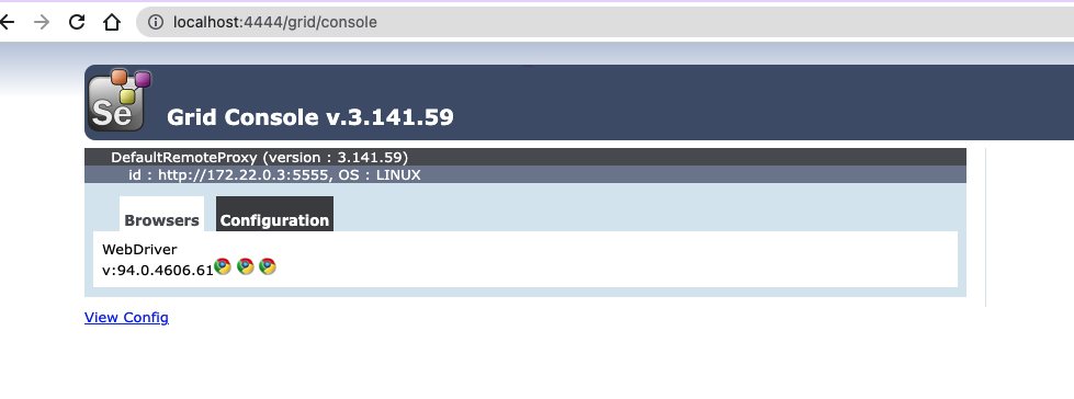 Selenium Grid console